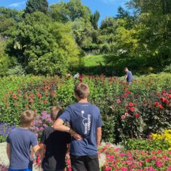 Insel Mainau