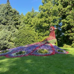 Insel Mainau