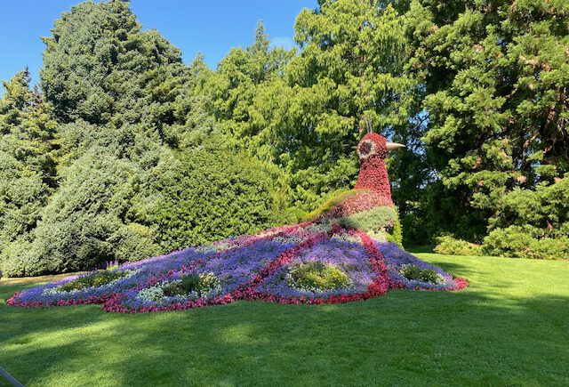 Insel Mainau