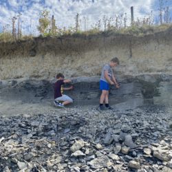 Fossilien sammeln auf der Schwäbischen Alb