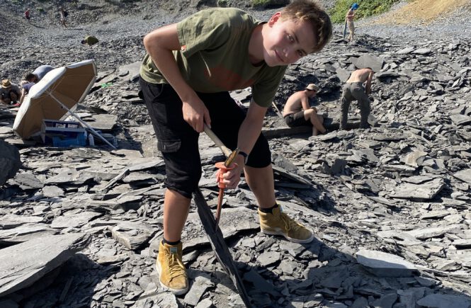 Fossilien sammeln auf der Schwäbischen Alb